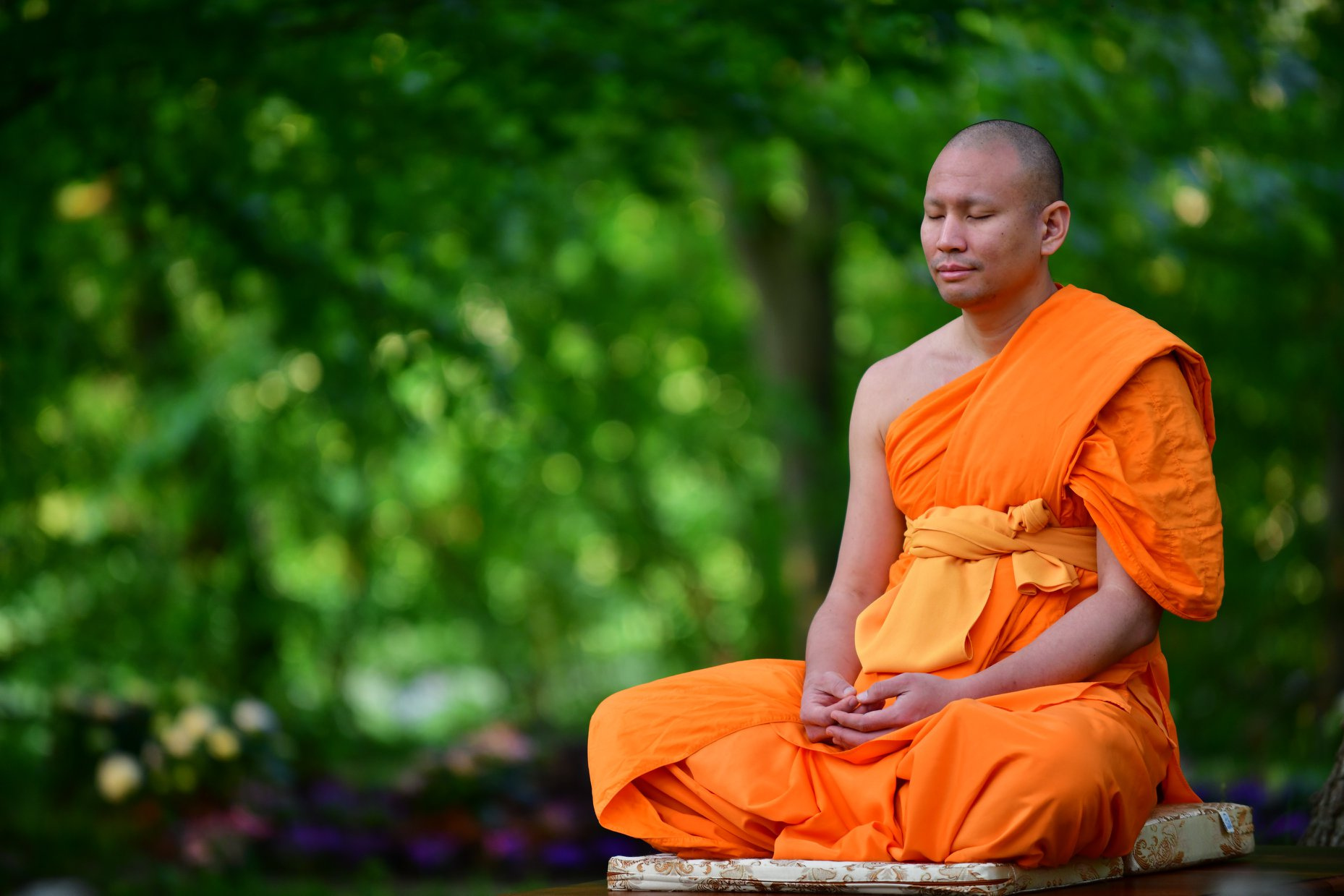 LP Pasura meditando