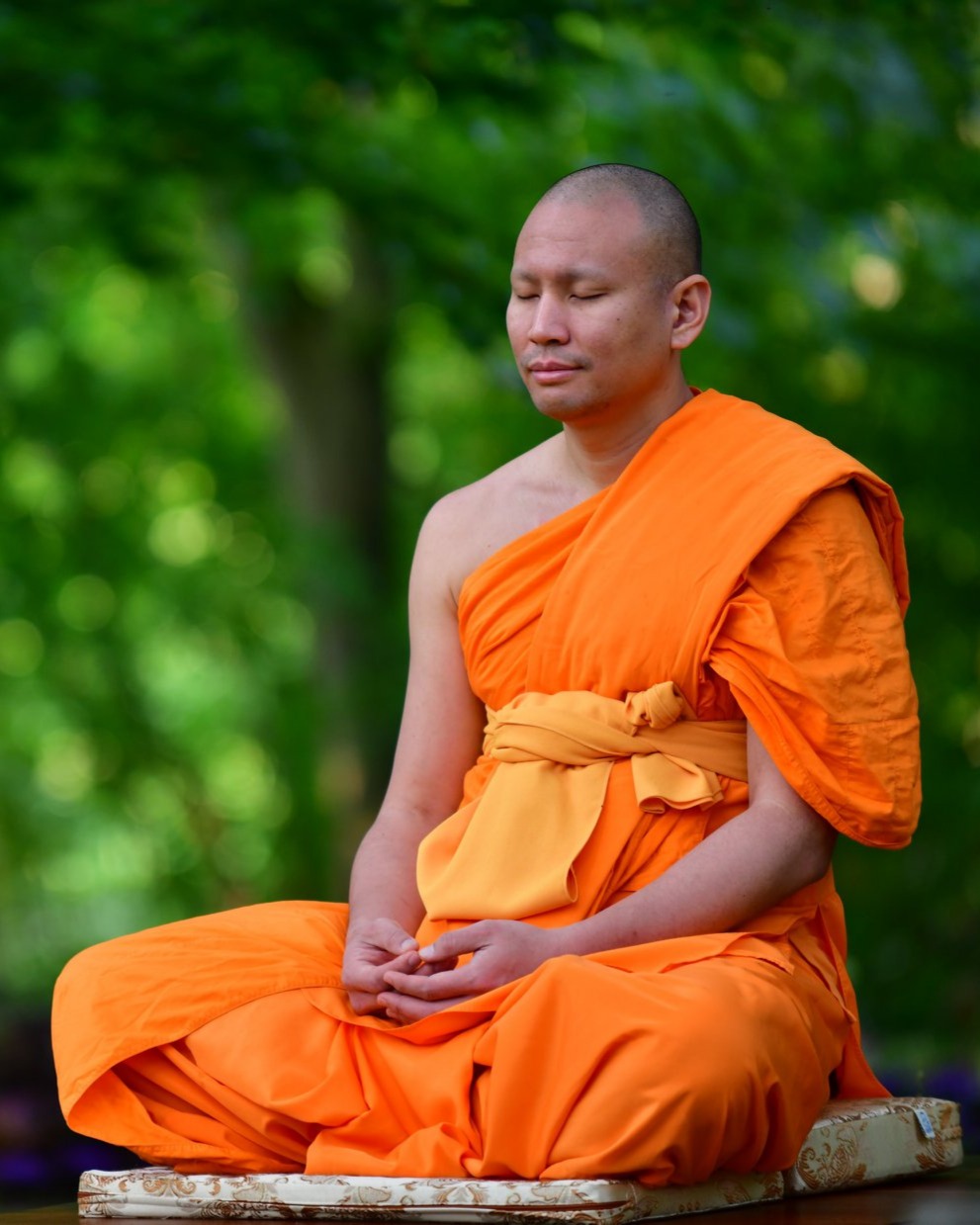 Phra Pasura Dantamano meditando